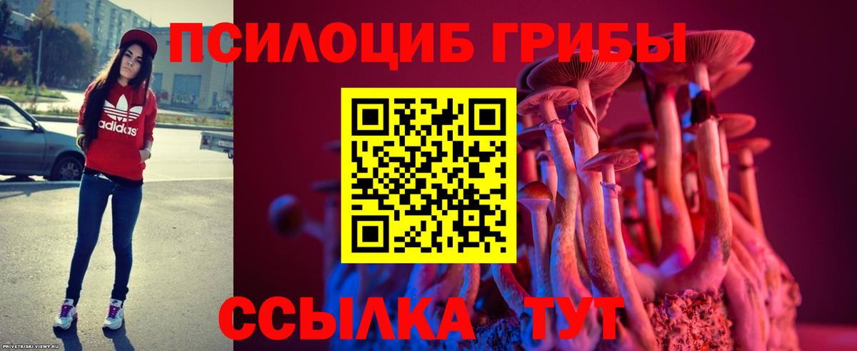 Ульяновск  Галлюциногенные грибы ЛСД  Вход с VPN  Галлюциногенные грибы Cubensis 